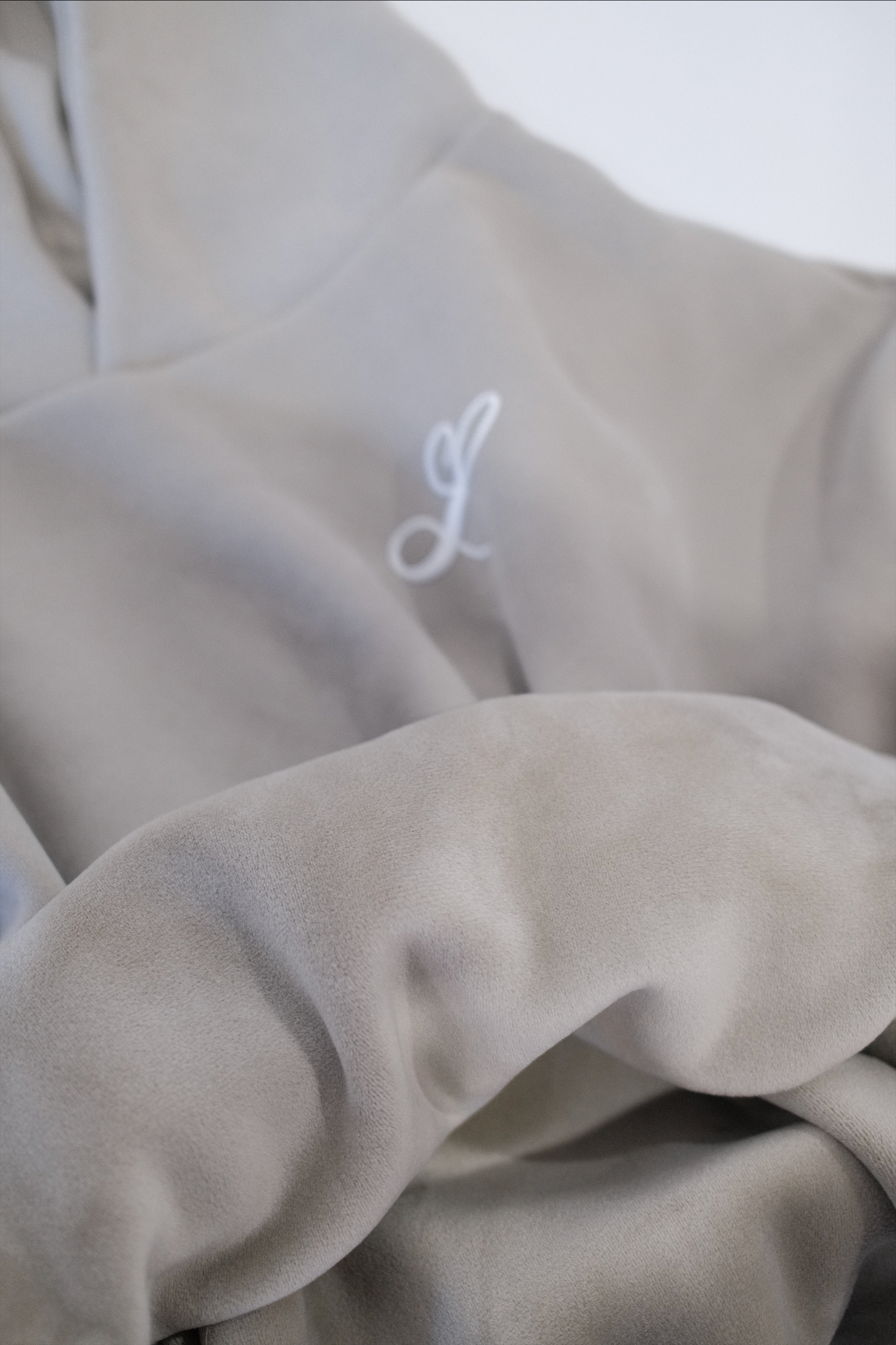 The Leftfield Hoodie V1 - SLIVER SAGE